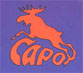 Логотип/товарный знак ЗСН "САРО", Ворсма